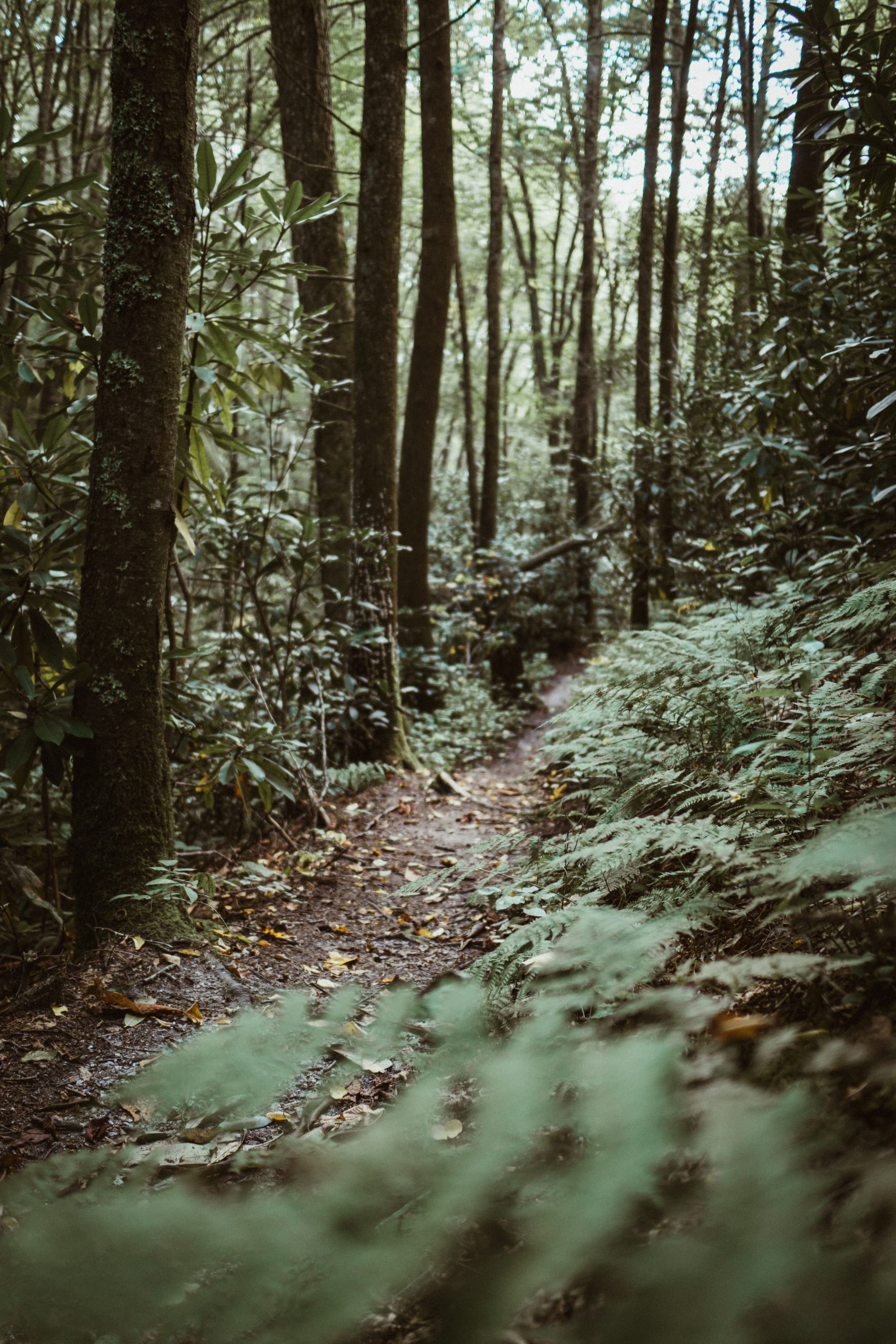 kirk-thornton-pgznR7FlKts-unsplash-scaled.jpg