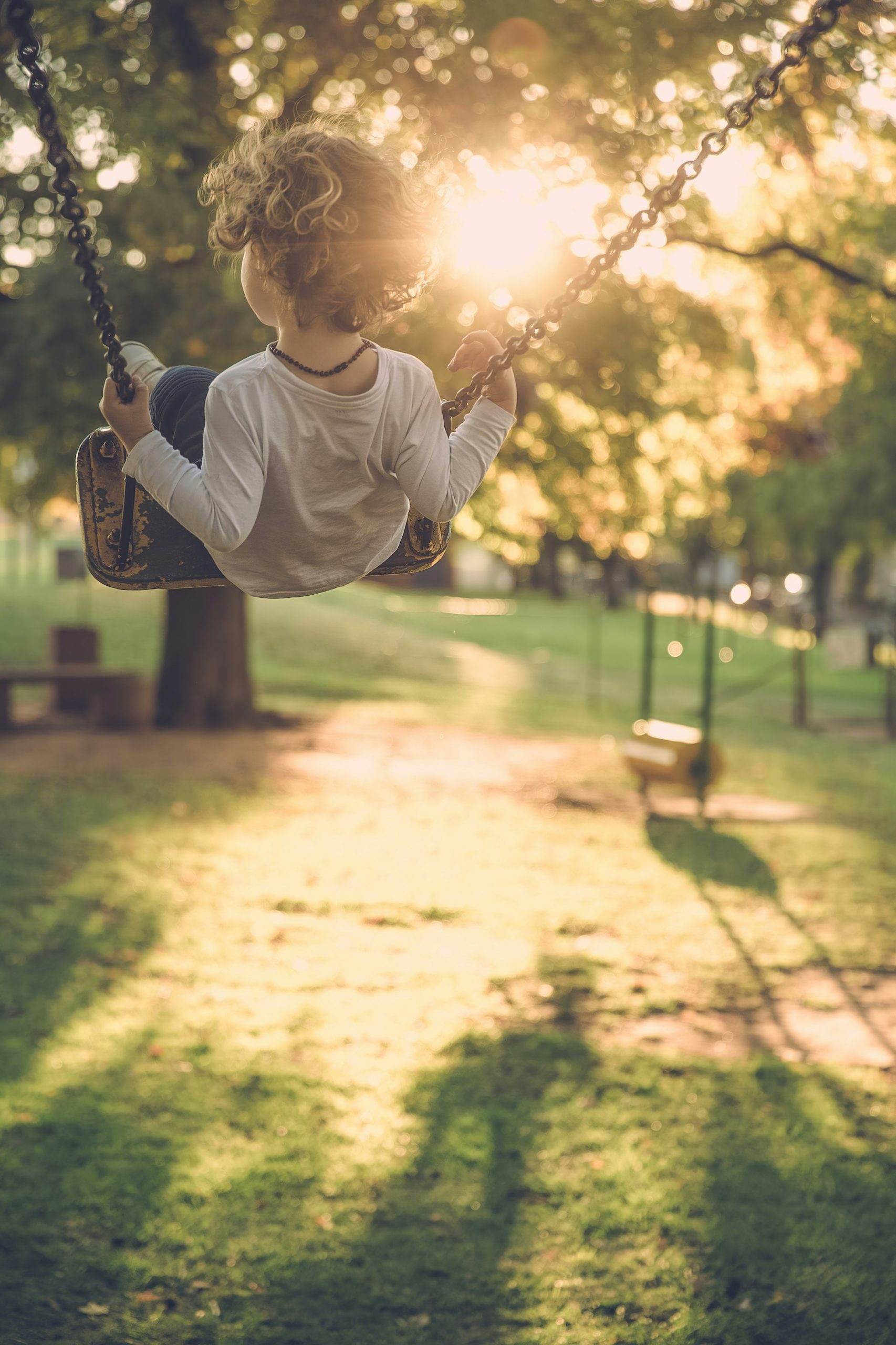 johnny-cohen-xro1l0c72VY-unsplash-scaled.jpg